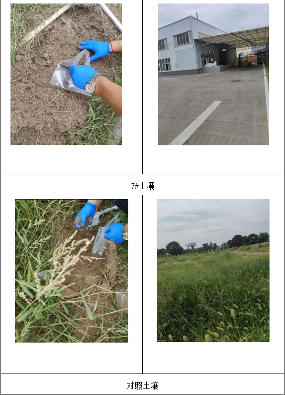 &#20048;&#31454;&#32593;&#39029;&#29256;&#30331;&#24405;&#20837;&#21475;&#45;&#20048;&#31454;&#40;&#20013;&#22269;&#41;